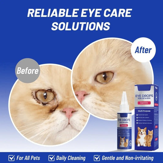 🐶PET Dog Eye Drops, Eye Drops for Dogs&Cats